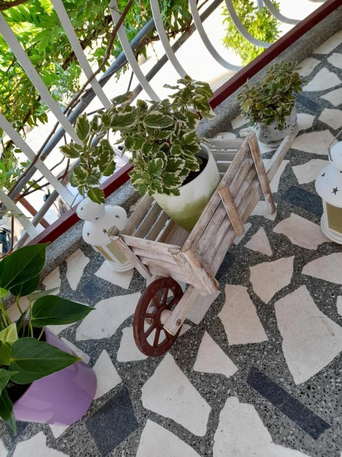 Pandurevic * Herceg Novi